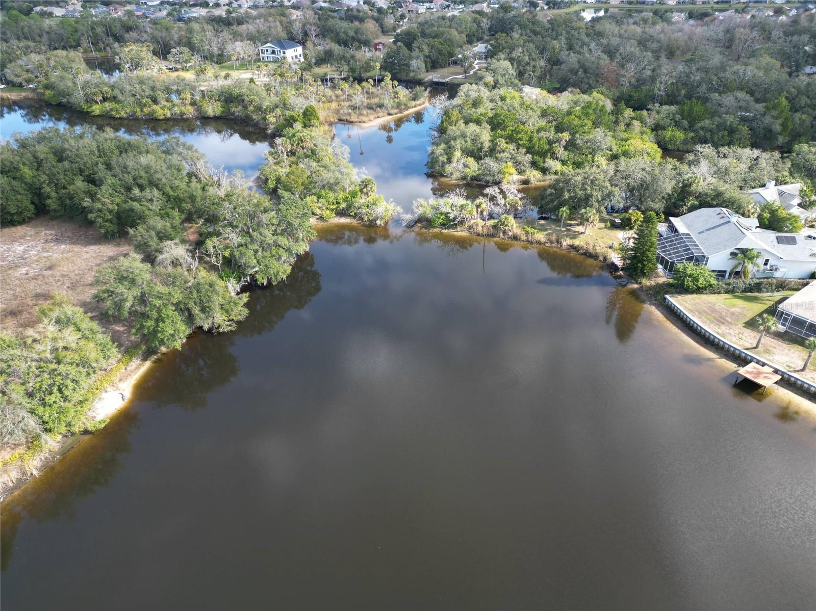 0 BERRY HILL RD, HOLIDAY, FL — photo 12