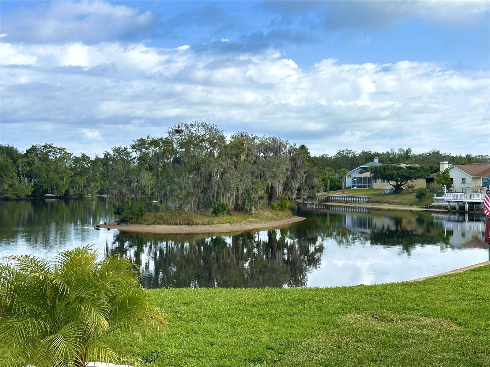 0 BERRY HILL RD, HOLIDAY, FL — photo 25