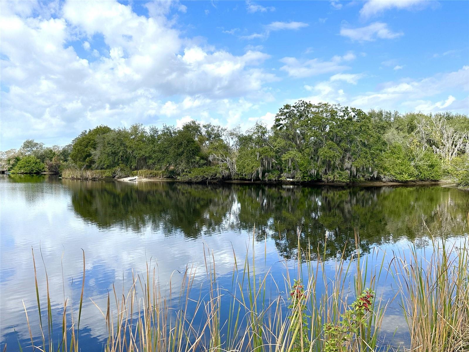 0 BERRY HILL RD, HOLIDAY, FL — photo 30