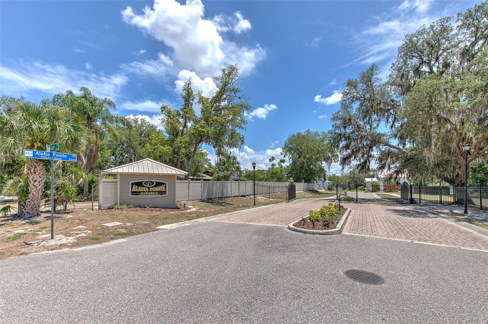 8325 ALAFIA POINTE DR, RIVERVIEW, FL — photo 2