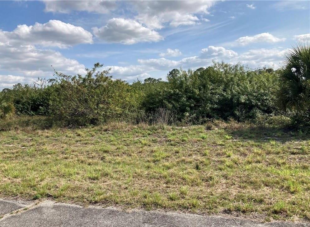 208 ELMWOOD ST, LABELLE, FL — photo 3