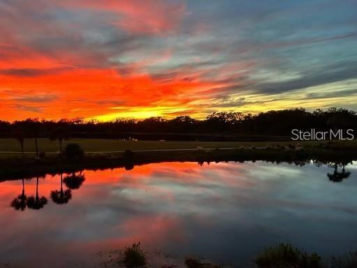 416 WINDING BROOK LN #102, BRADENTON, FL — photo 14