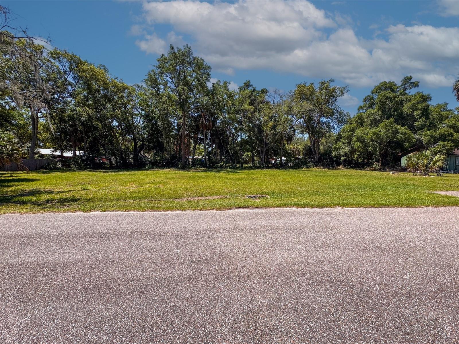 Lot 00200 LENORD ST, UMATILLA, FL — photo 3