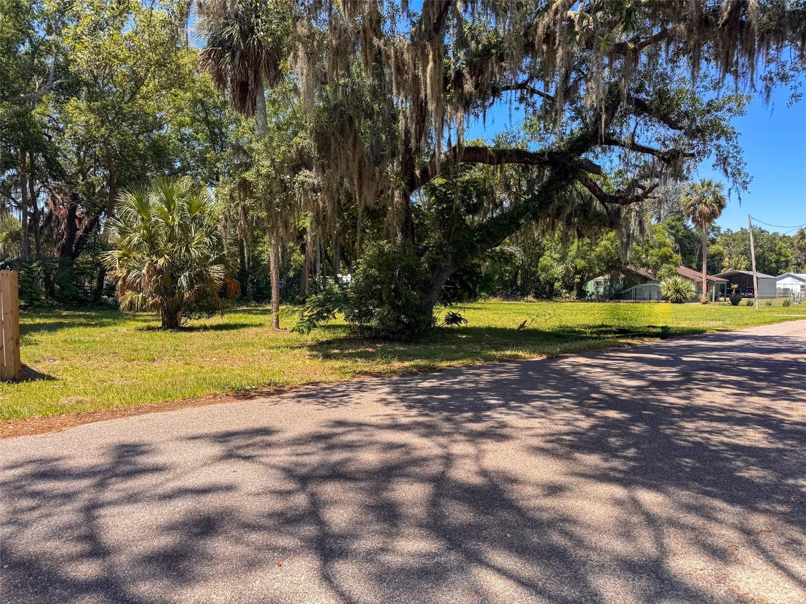 Lot 00200 LENORD ST, UMATILLA, FL — photo 5