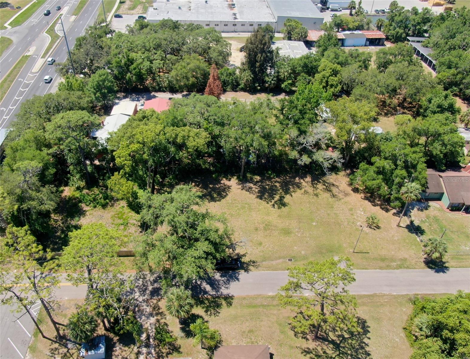 Lot 00200 LENORD ST, UMATILLA, FL — photo 7