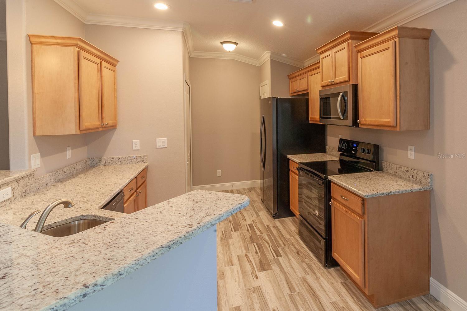 16200 LENORD ST, UMATILLA, FL — photo 10