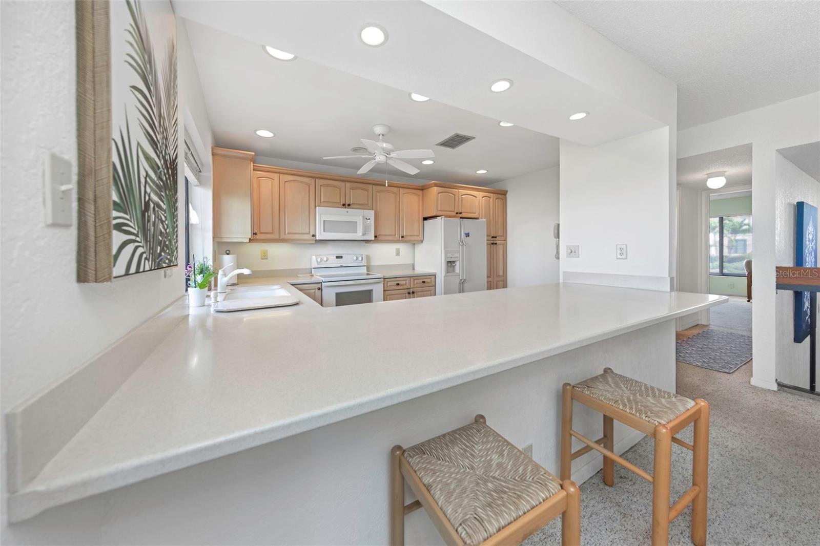 5650 ESCONDIDA BLVD S, ST PETERSBURG, FL — photo 14