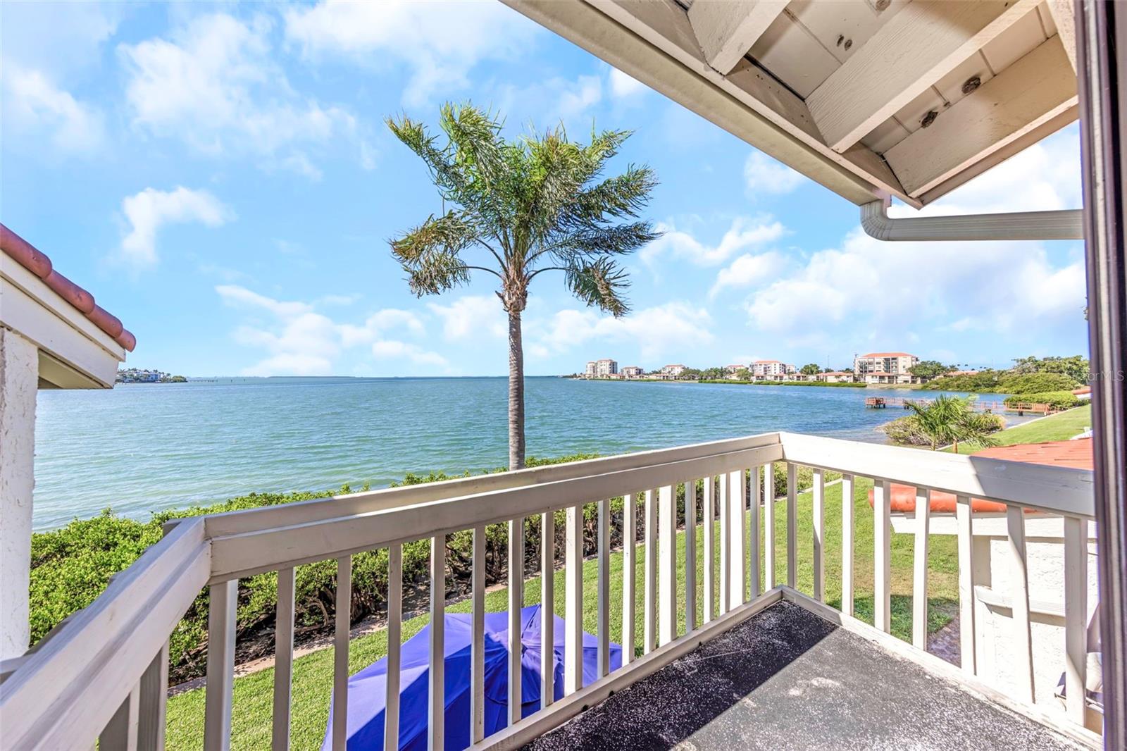 5650 ESCONDIDA BLVD S, ST PETERSBURG, FL — photo 34