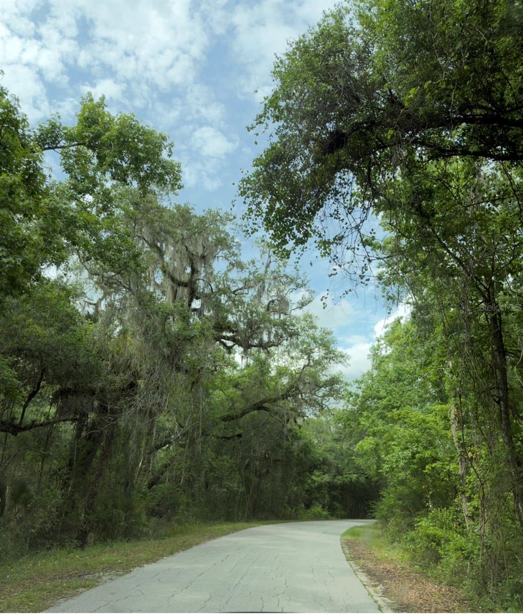 COUNTY ROAD 707, WEBSTER, FL