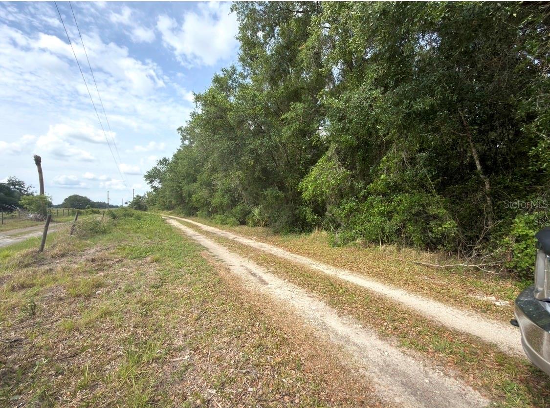 COUNTY ROAD 707, WEBSTER, FL — photo 3