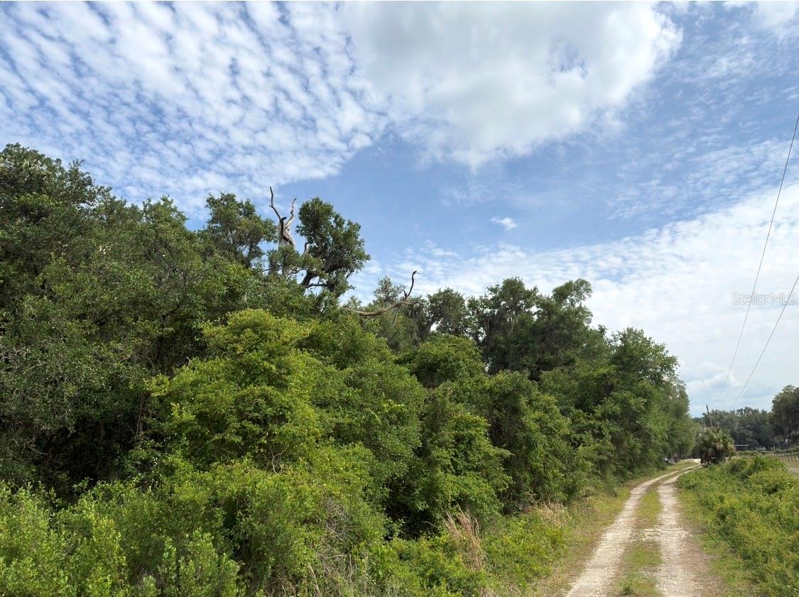 COUNTY ROAD 707, WEBSTER, FL — photo 5