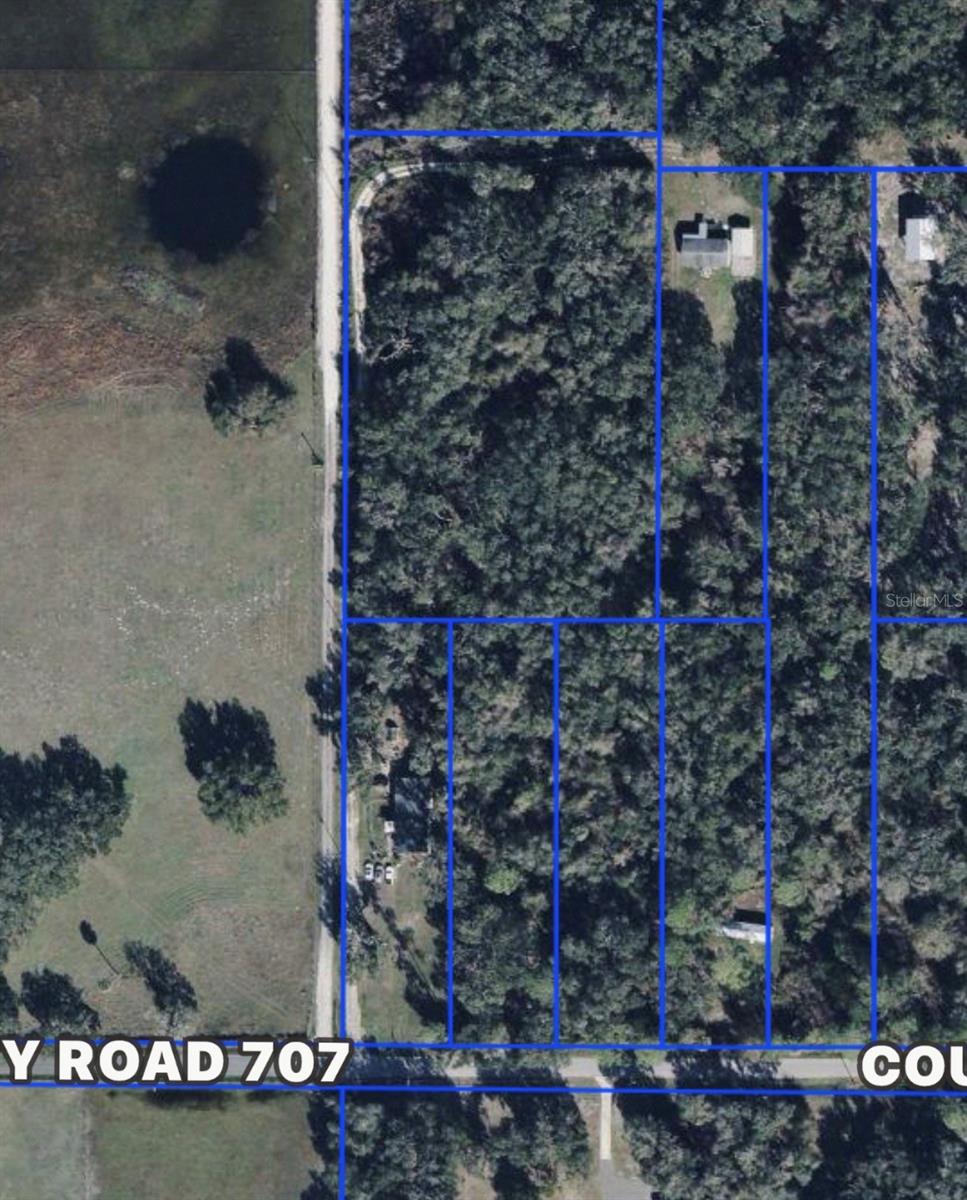 COUNTY ROAD 707, WEBSTER, FL — photo 8