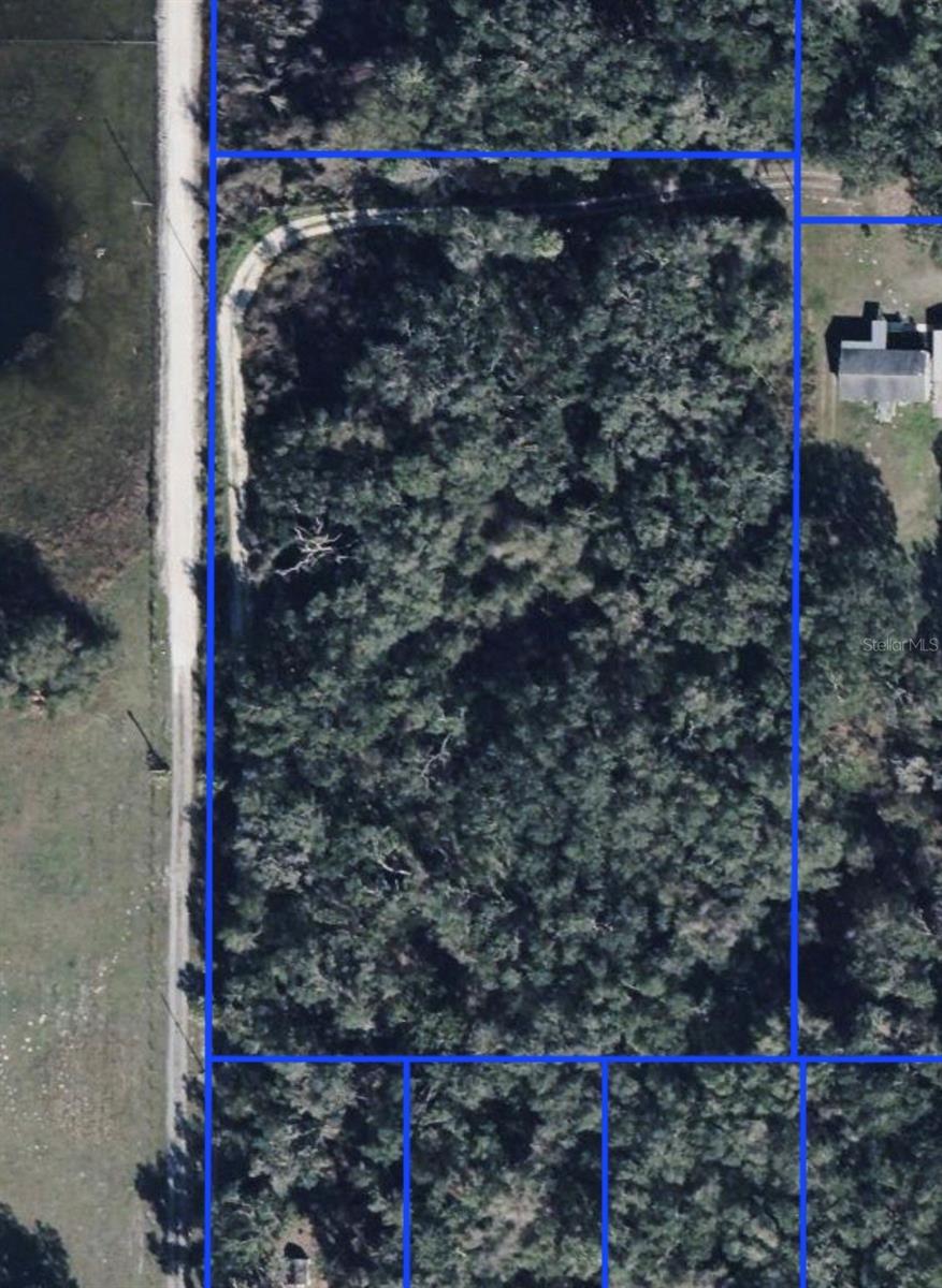 COUNTY ROAD 707, WEBSTER, FL — photo 9