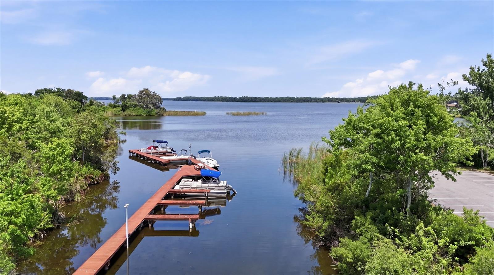 2533 DOLLY BAY DR #107, PALM HARBOR, FL — photo 31