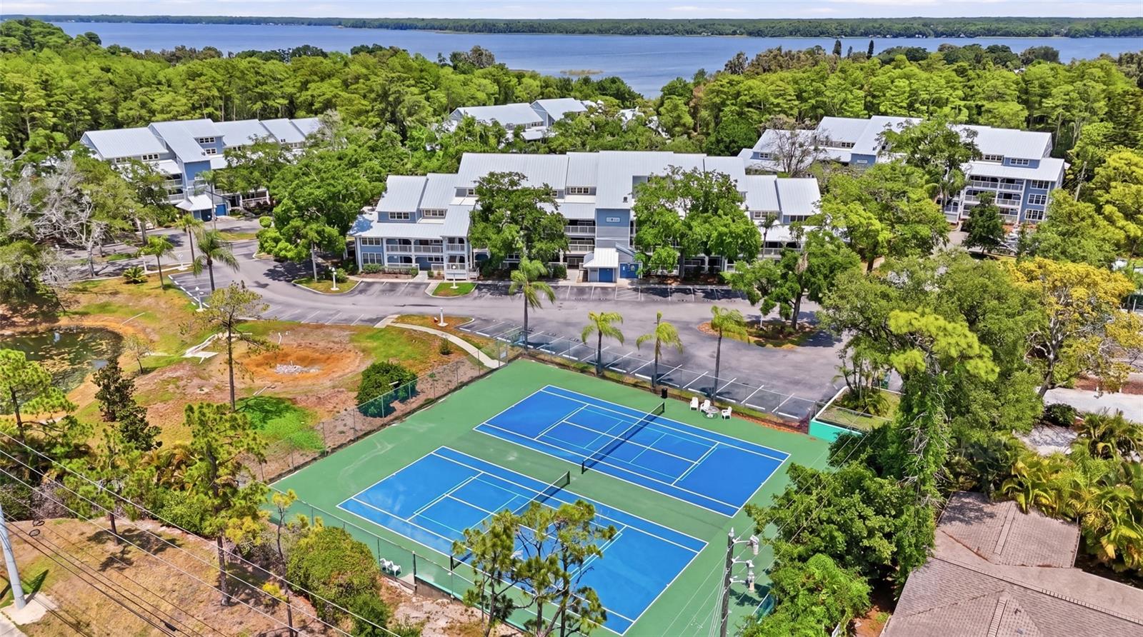 2533 DOLLY BAY DR #107, PALM HARBOR, FL — photo 33