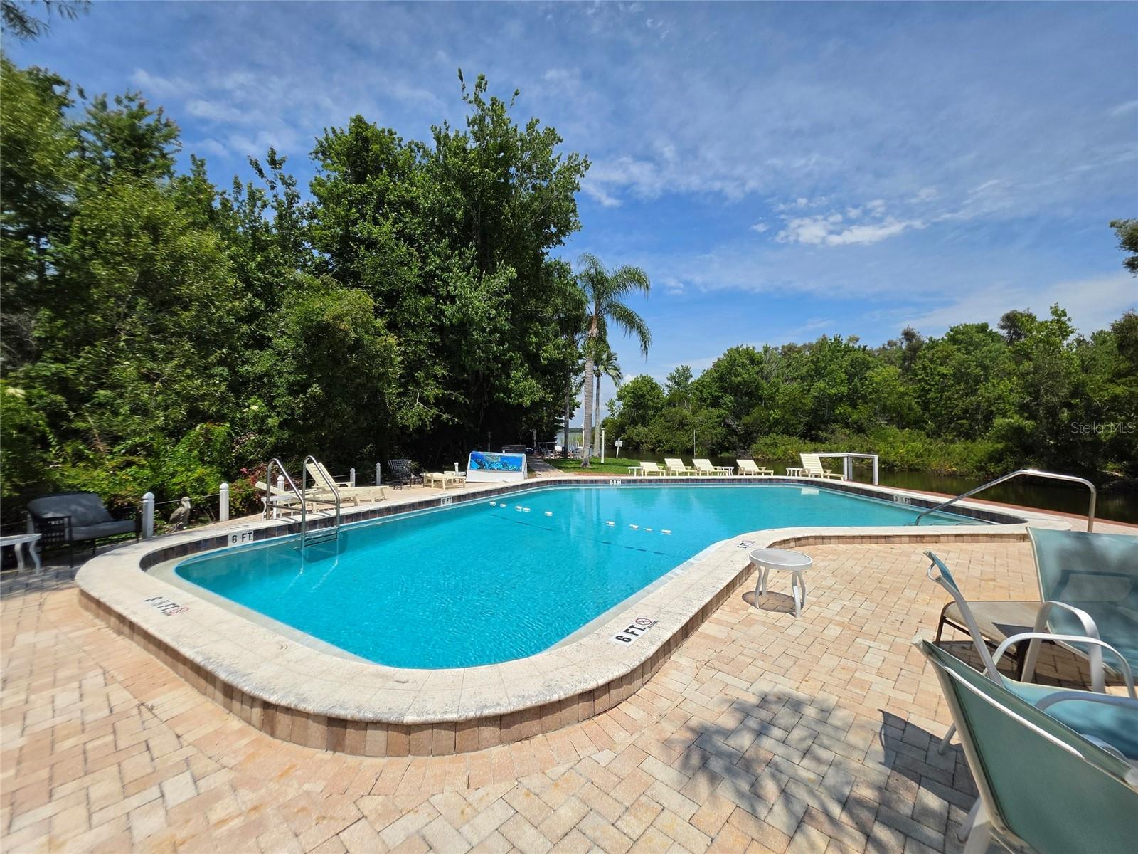 2533 DOLLY BAY DR #107, PALM HARBOR, FL — photo 36