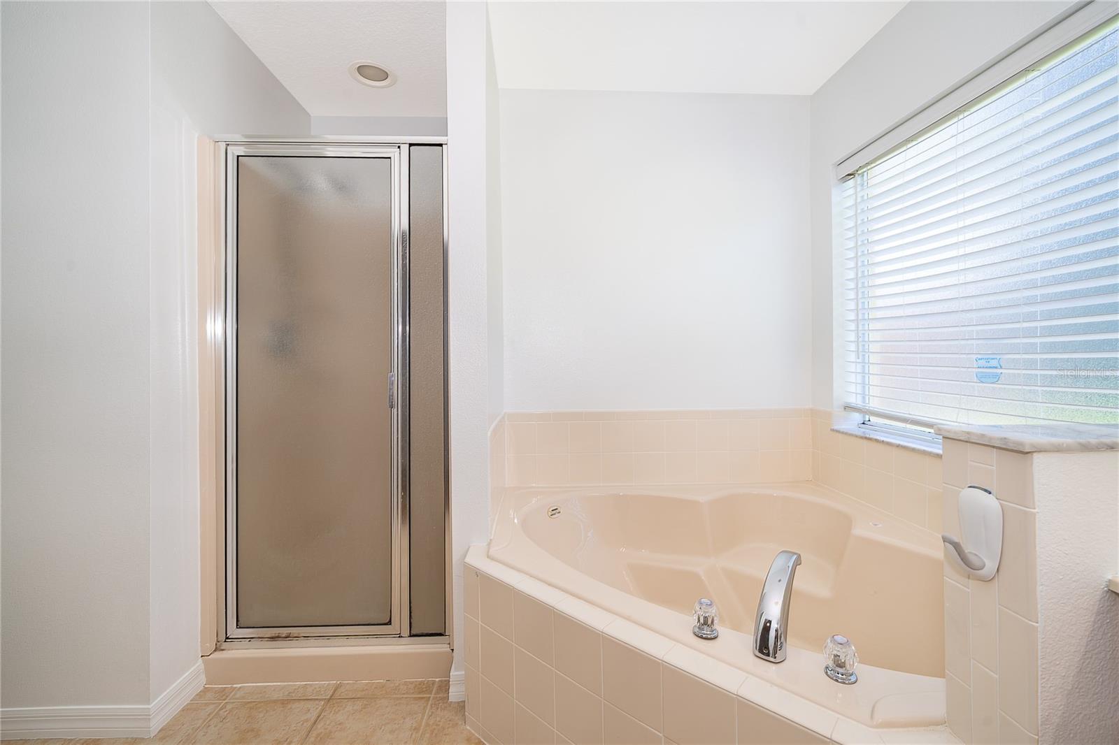 2808 LIDO KEY CT, KISSIMMEE, FL — photo 18