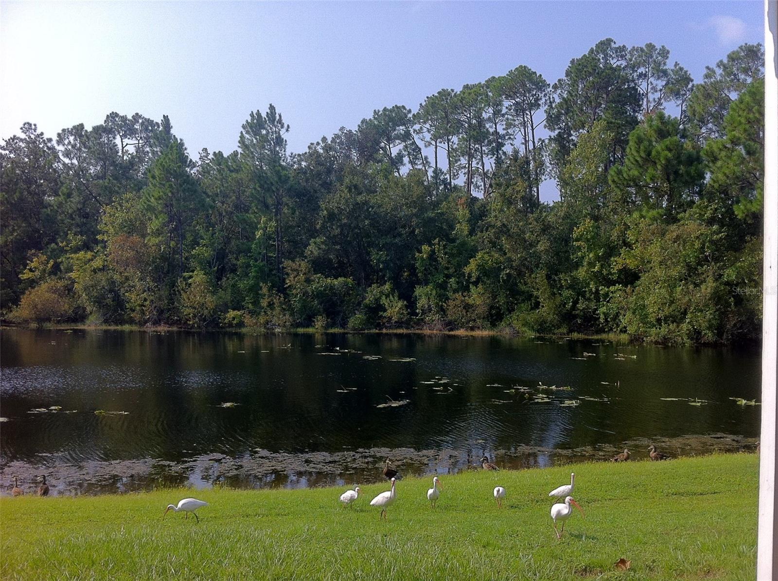 2468 SWEETWATER CLUB CIR #111, KISSIMMEE, FL — photo 14
