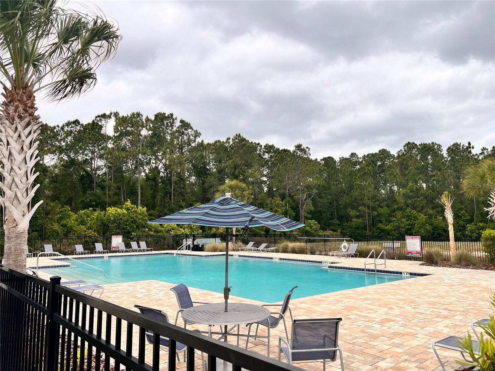 1267 IGUANA LOOP, DAVENPORT, FL — photo 46