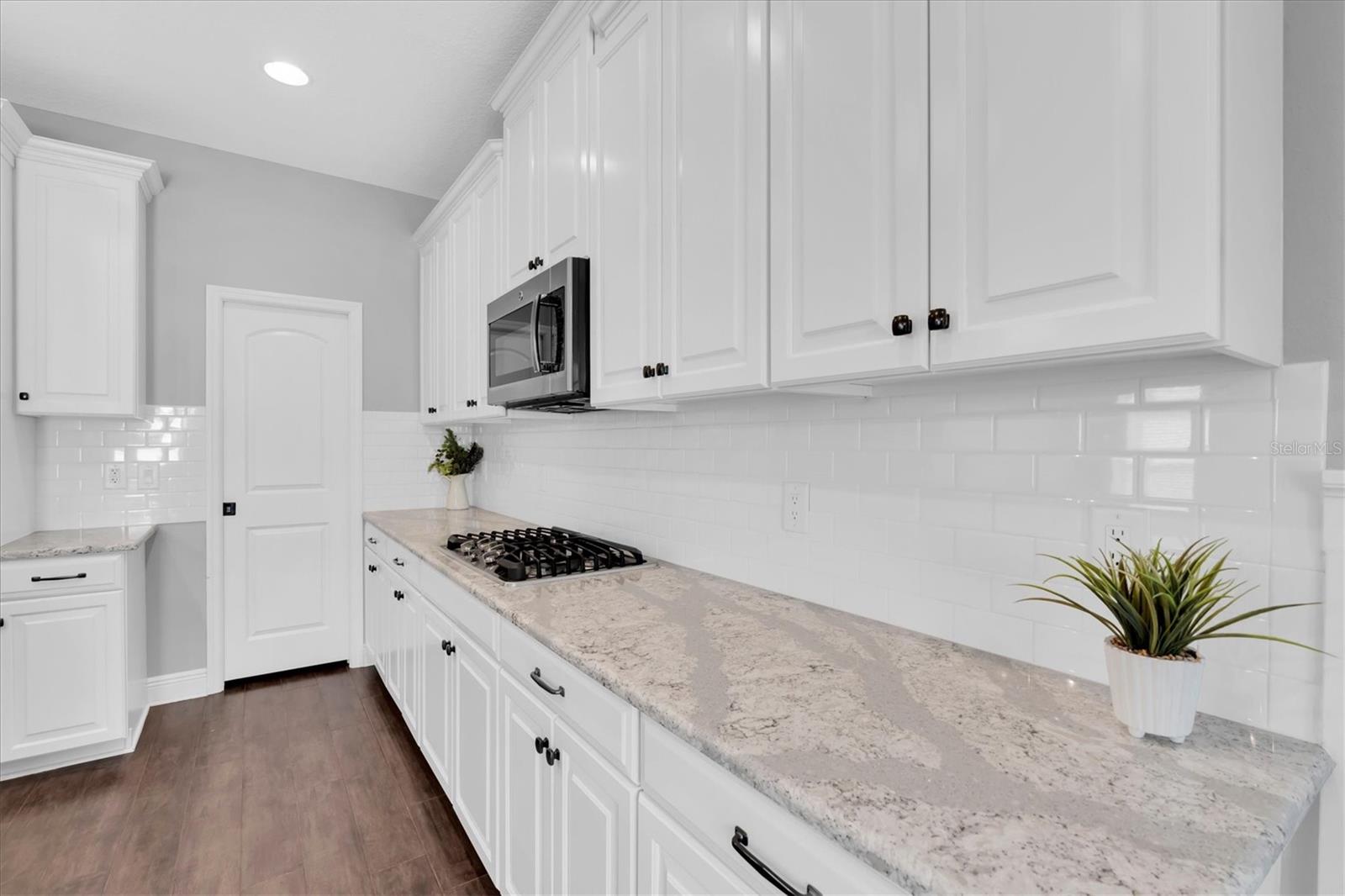 12345 TIBBETTS ST, ODESSA, FL — photo 12
