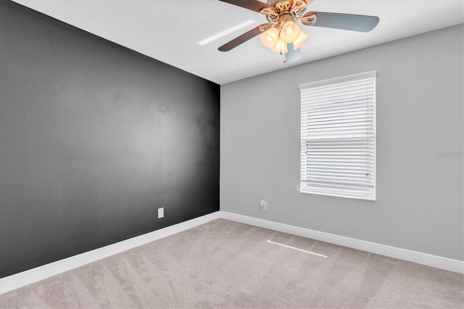 12345 TIBBETTS ST, ODESSA, FL — photo 28