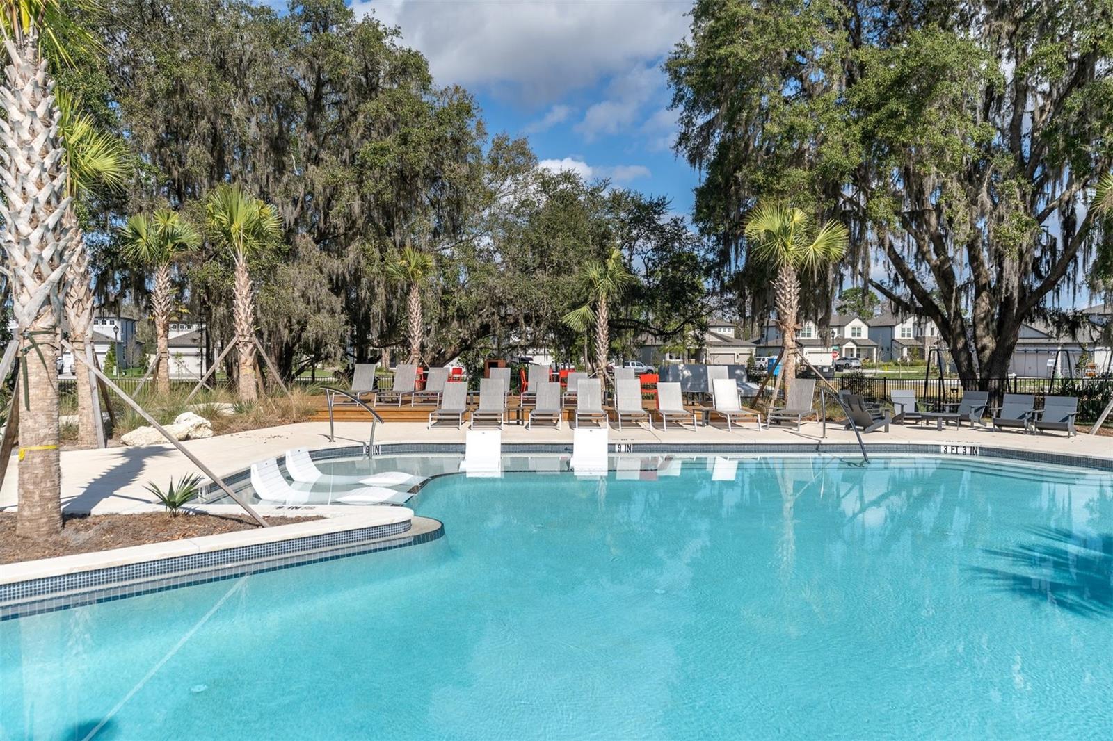 12345 TIBBETTS ST, ODESSA, FL — photo 53