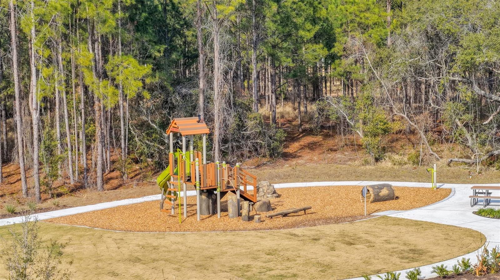 15130 TEA TREE DR, WINTER GARDEN, FL — photo 2
