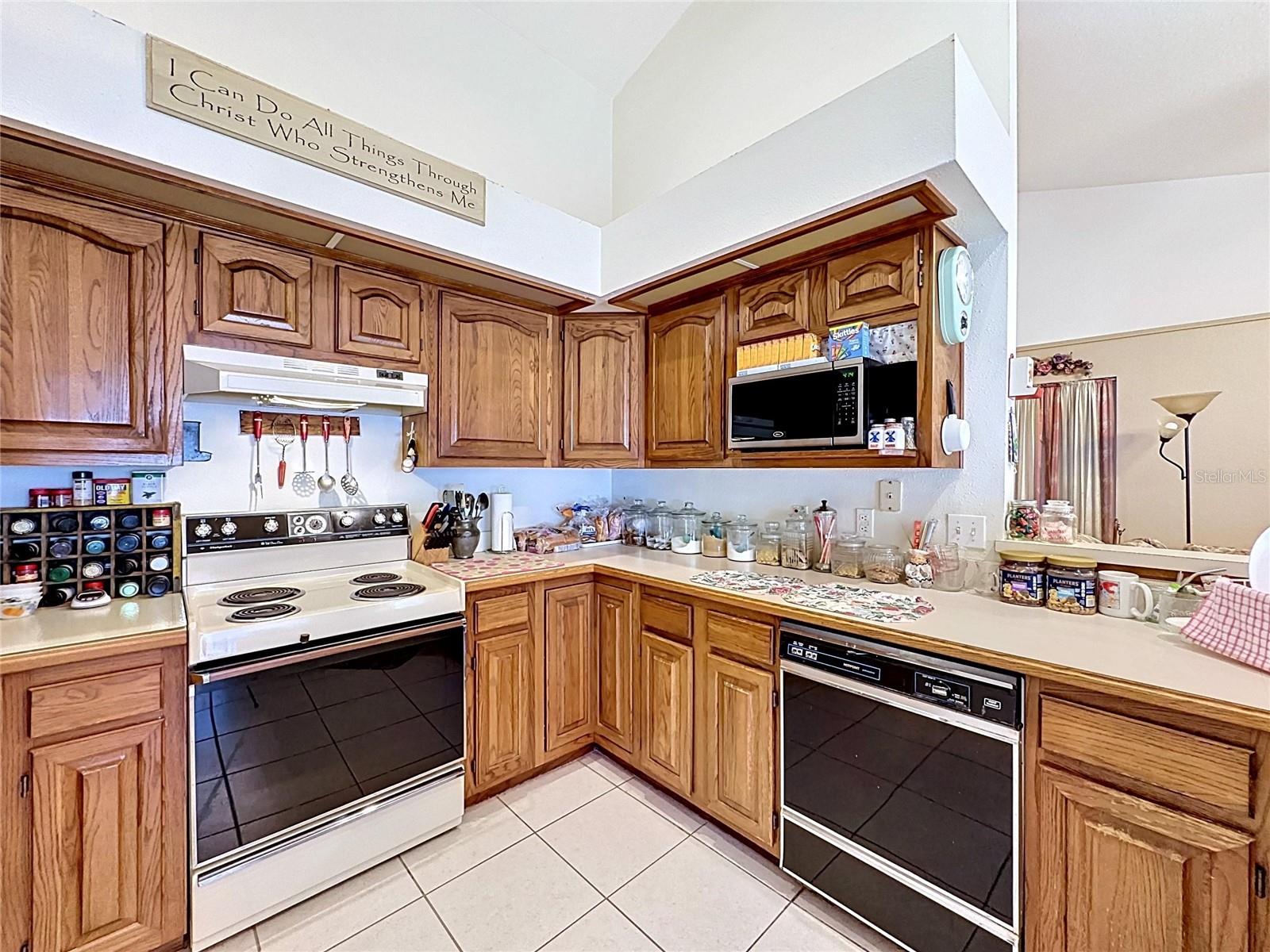 1681 E SPRING RIDGE CIR, WINTER GARDEN, FL — photo 15