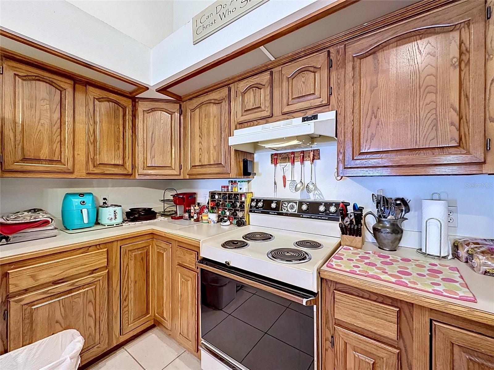 1681 E SPRING RIDGE CIR, WINTER GARDEN, FL — photo 17