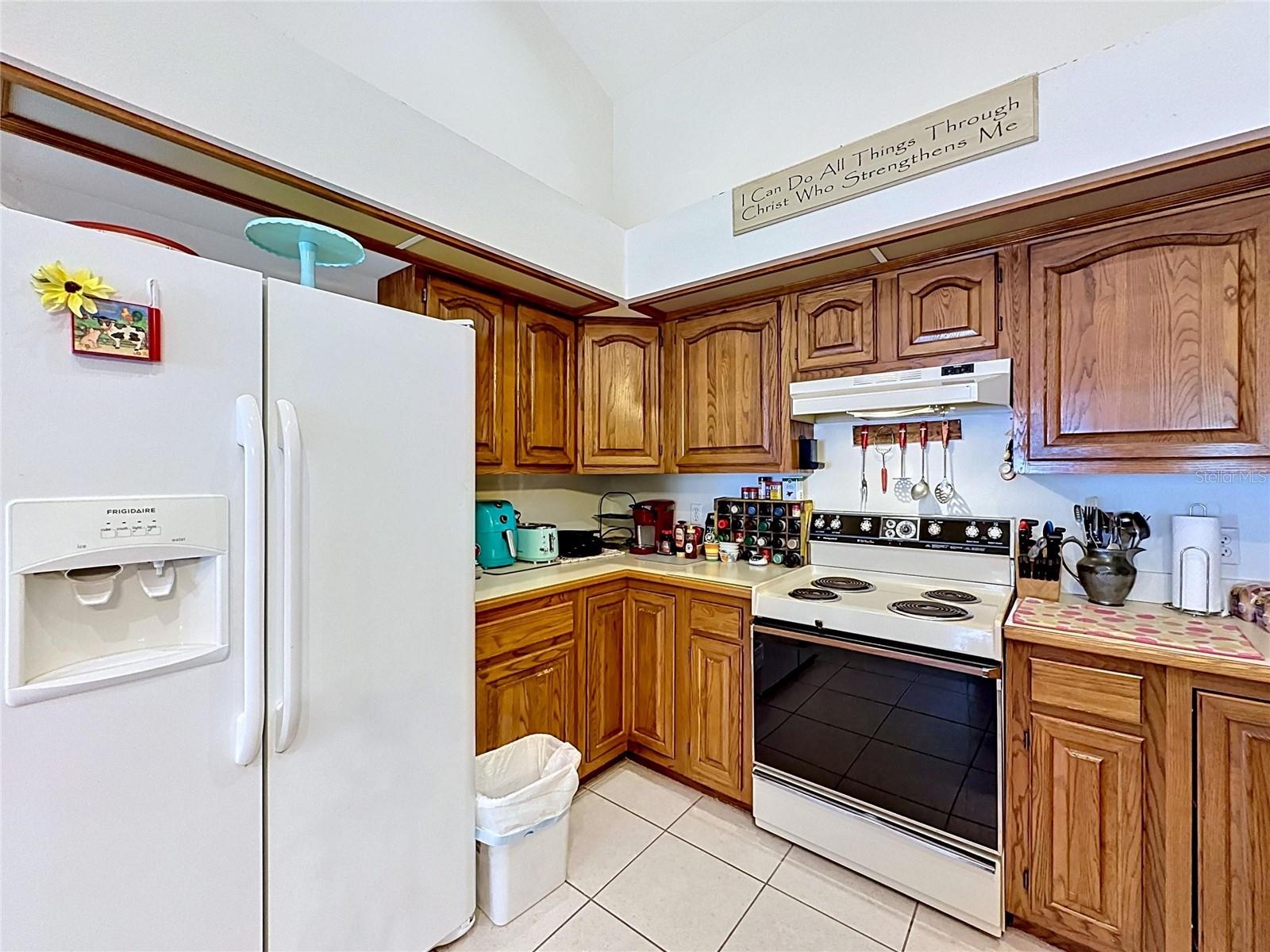 1681 E SPRING RIDGE CIR, WINTER GARDEN, FL — photo 19