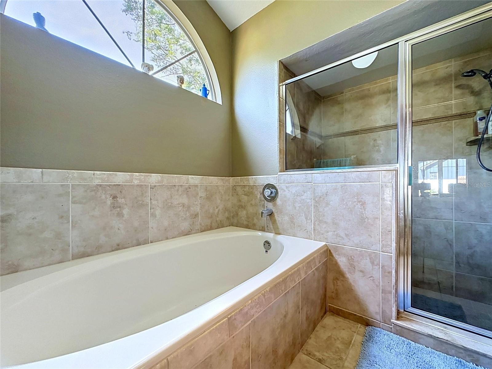 1681 E SPRING RIDGE CIR, WINTER GARDEN, FL — photo 34
