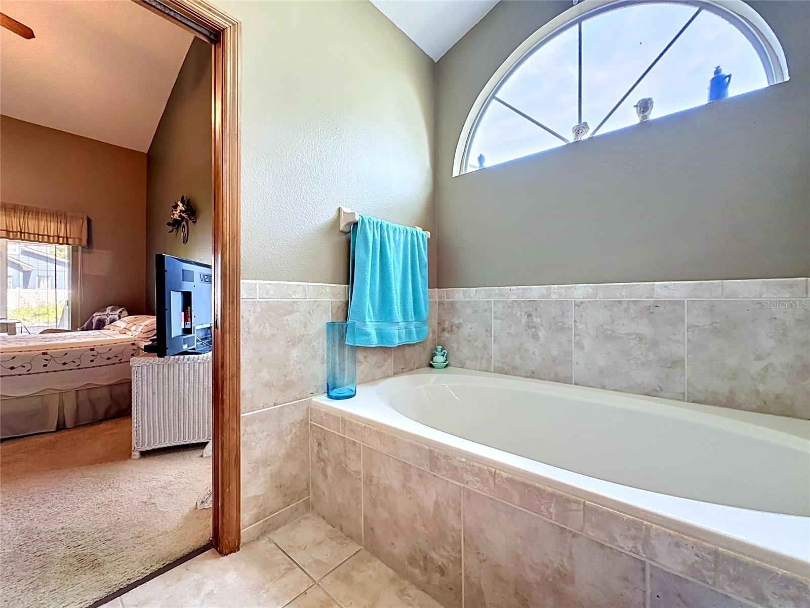 1681 E SPRING RIDGE CIR, WINTER GARDEN, FL — photo 36