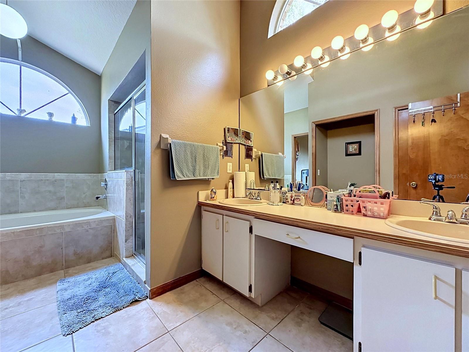 1681 E SPRING RIDGE CIR, WINTER GARDEN, FL — photo 38