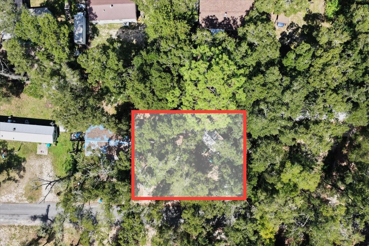 901 NE 11TH AVE, TRENTON, FL — photo 15
