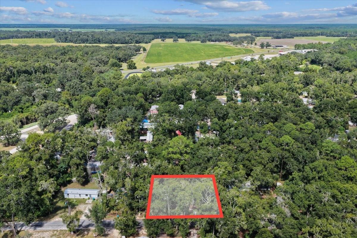 901 NE 11TH AVE, TRENTON, FL — photo 16