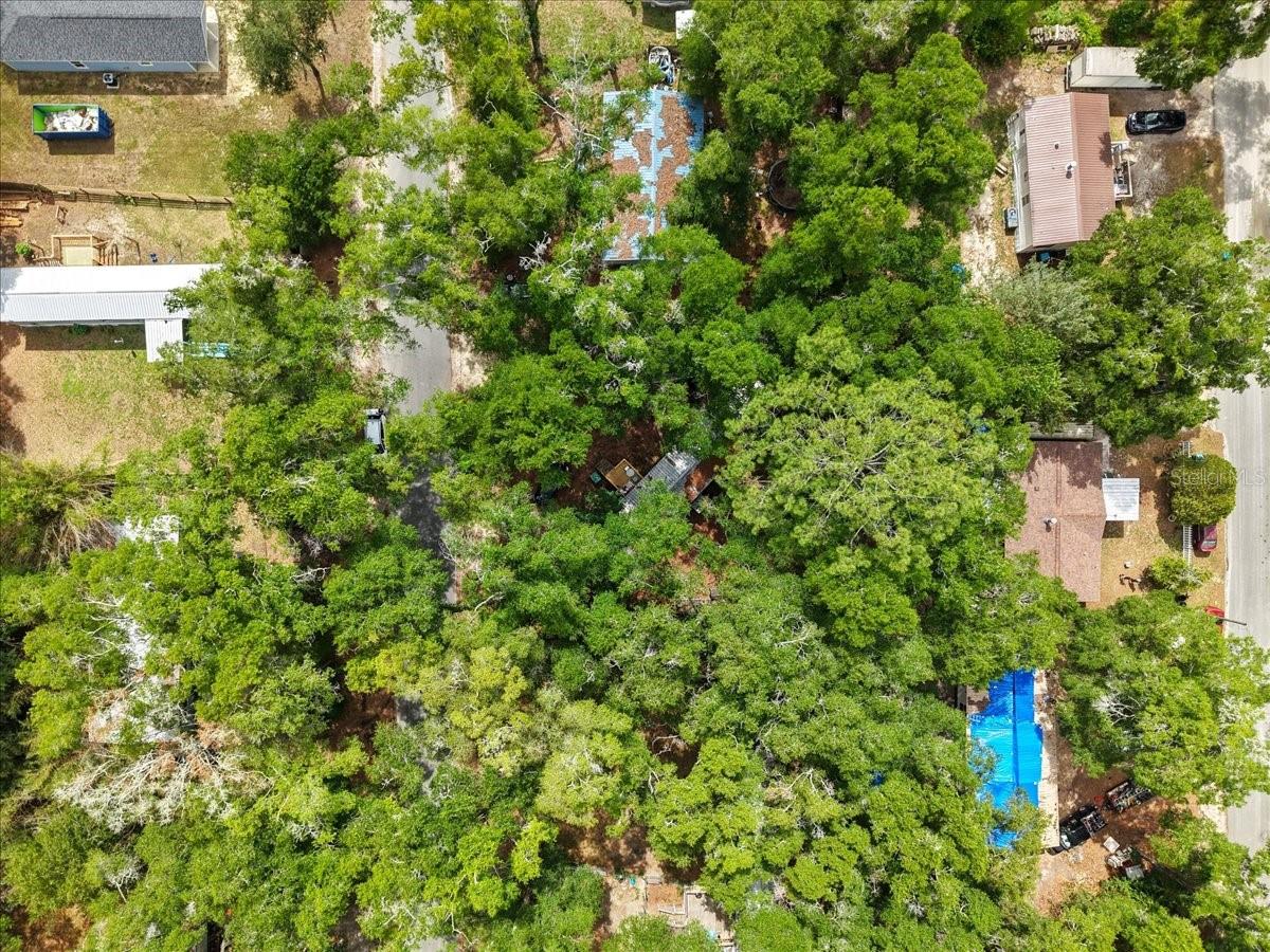 901 NE 11TH AVE, TRENTON, FL — photo 19