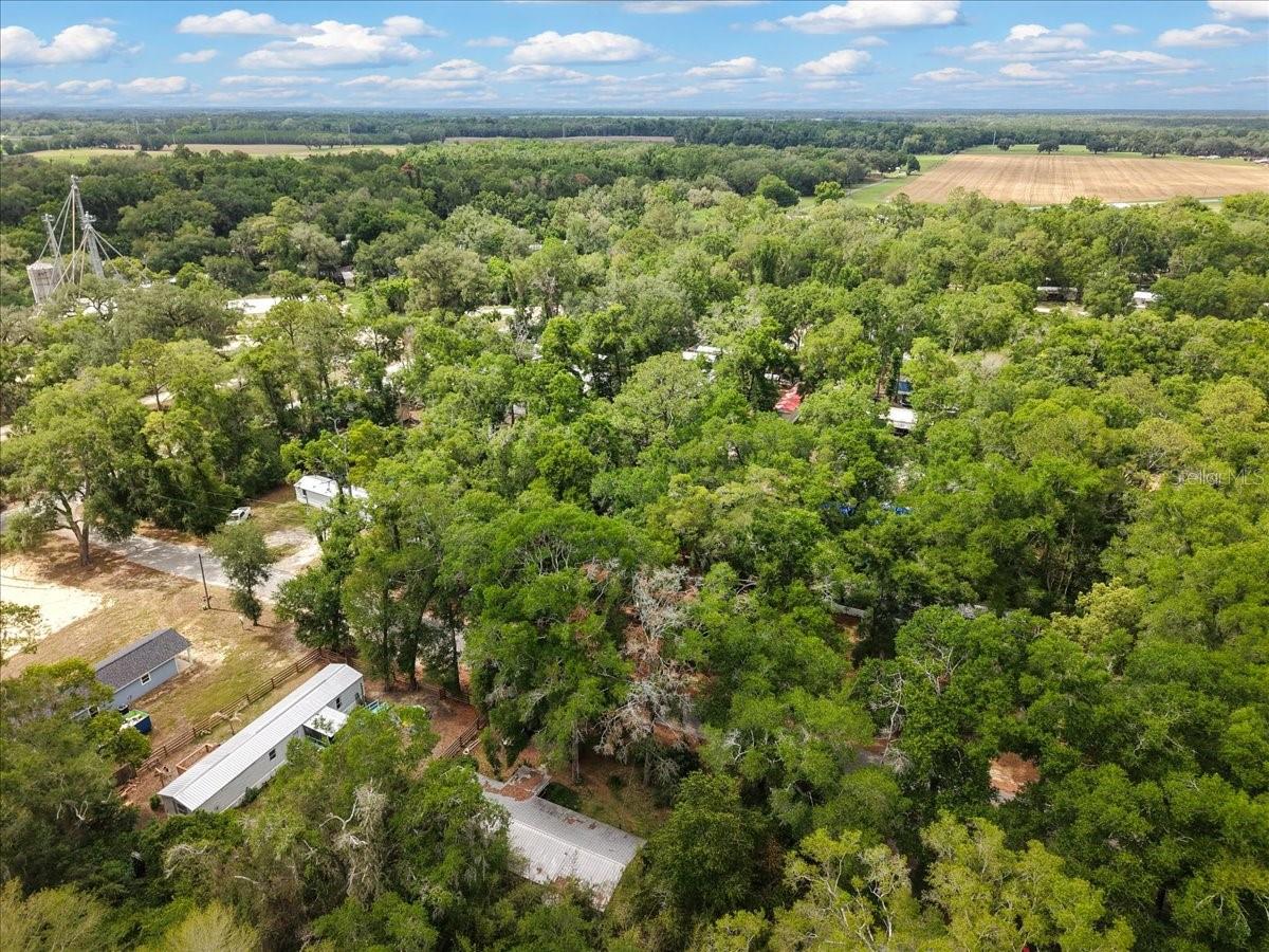 901 NE 11TH AVE, TRENTON, FL — photo 22