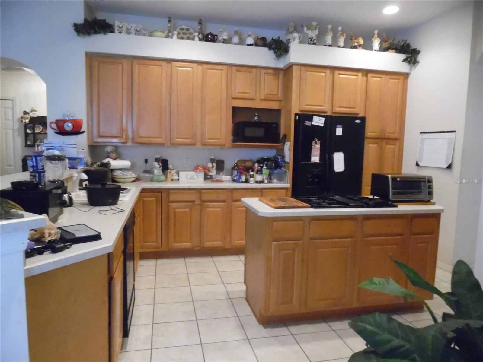 4841 GLEN COE ST, LEESBURG, FL — photo 14
