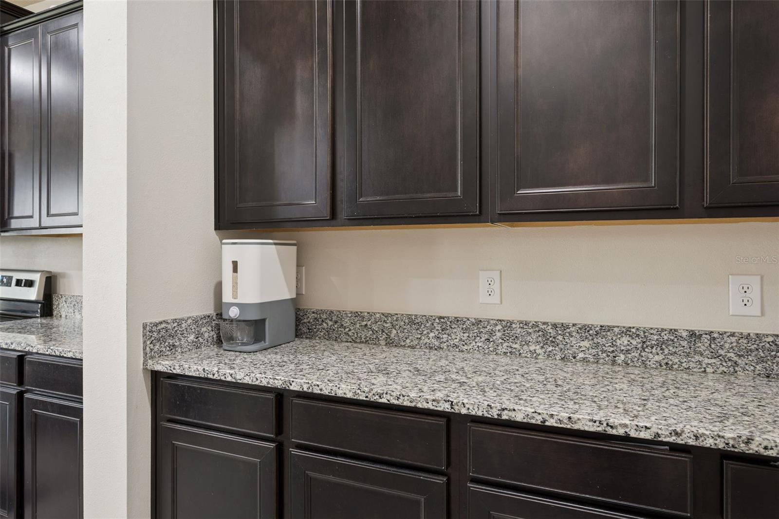 9119 FORGE BREEZE LOOP, WESLEY CHAPEL, FL — photo 10