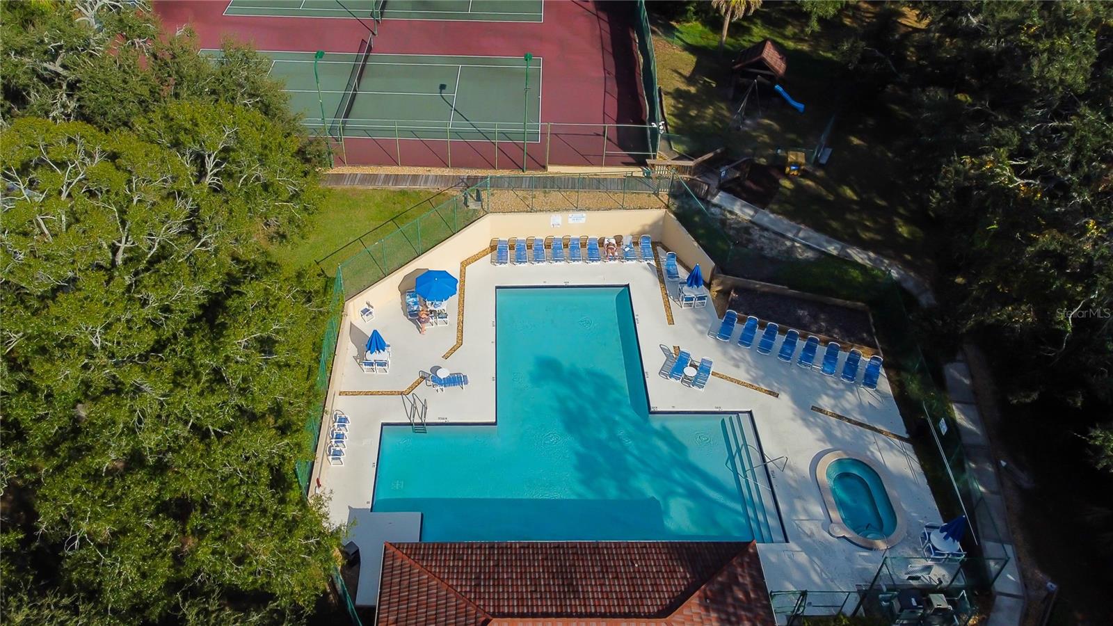 2702 4TH CT, PALM HARBOR, FL — photo 29