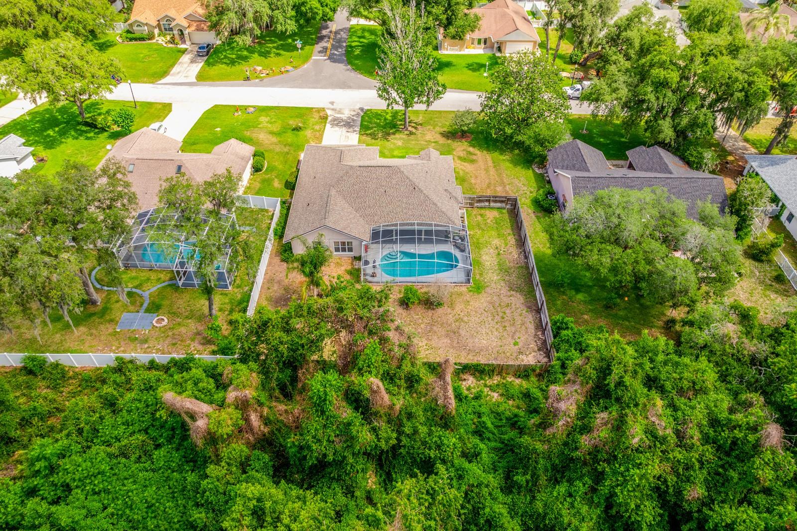 10126 SILVER BLUFF DR, LEESBURG, FL — photo 35