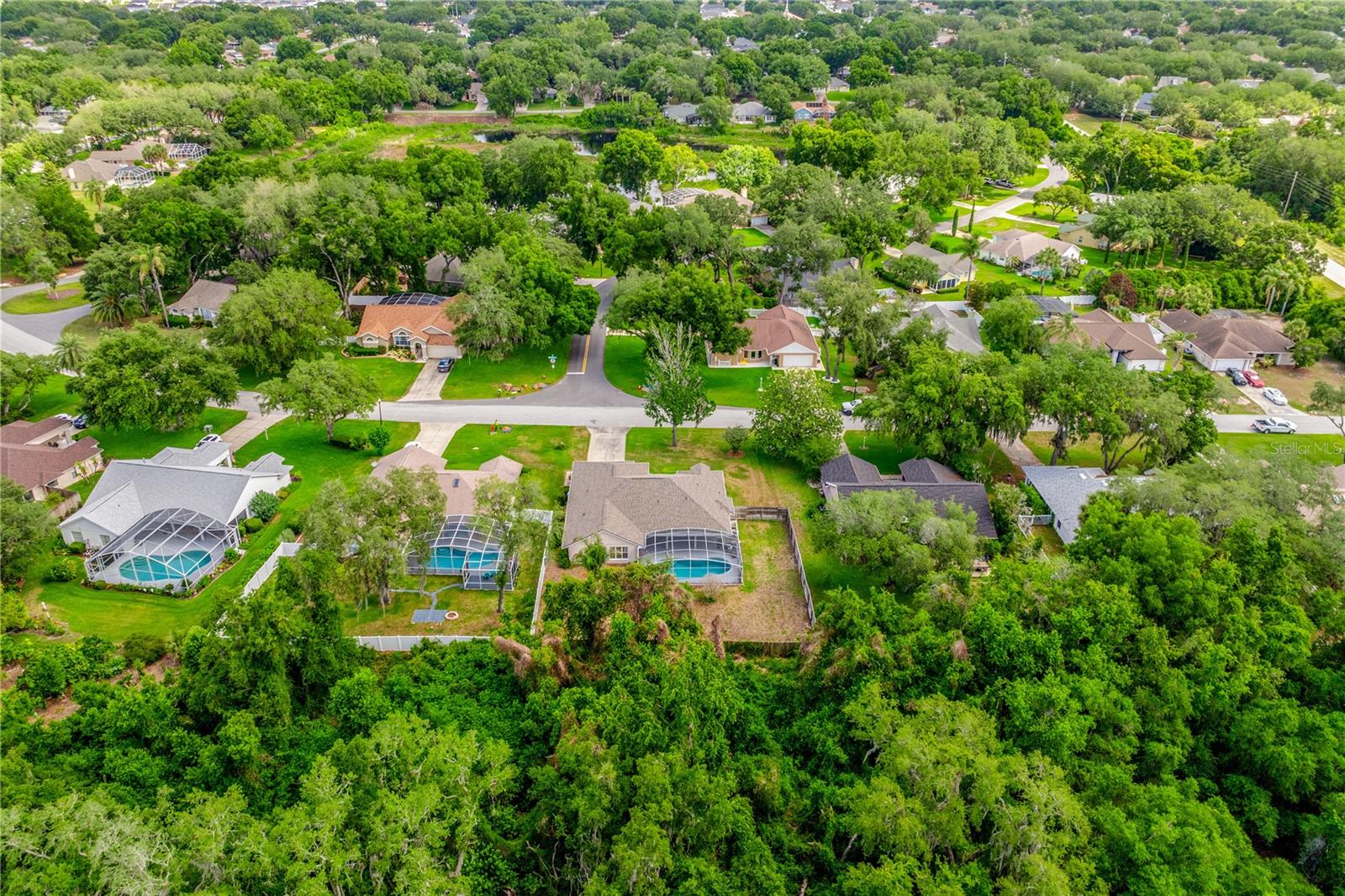 10126 SILVER BLUFF DR, LEESBURG, FL — photo 36