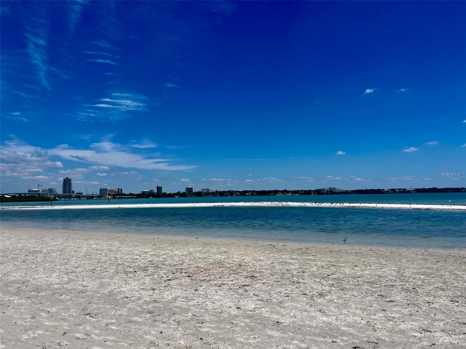 851 BAYWAY BLVD #405, CLEARWATER BEACH, FL — photo 63
