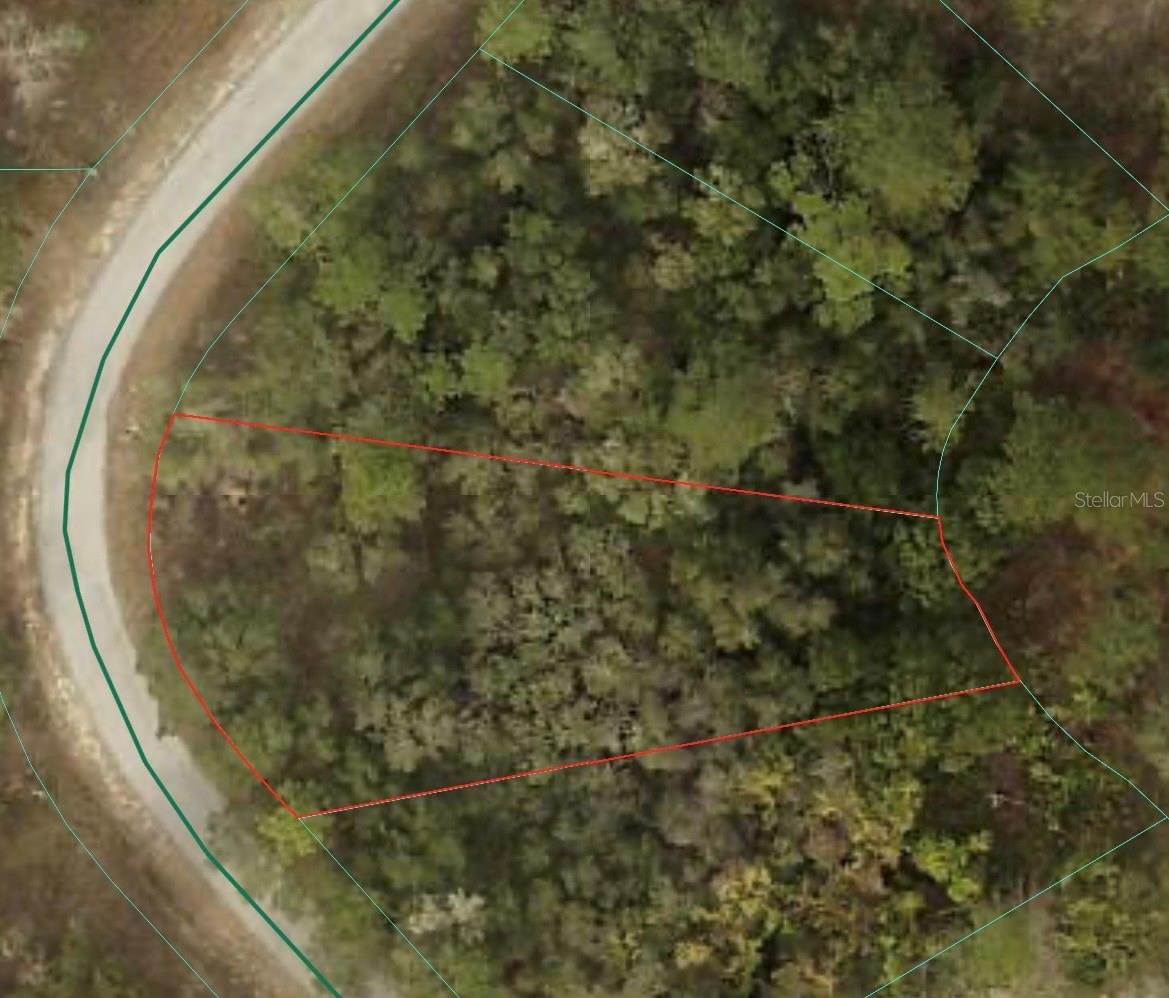 0 SW SHOREWOOD DR, DUNNELLON, FL — photo 3