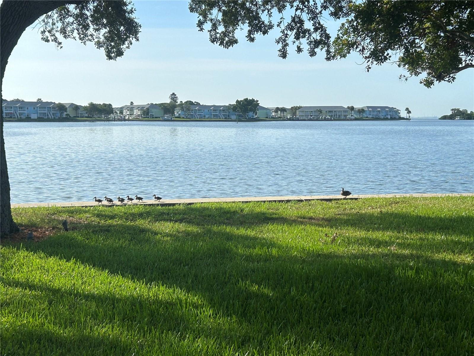 4838 PARADISE WAY S, ST PETERSBURG, FL — photo 12