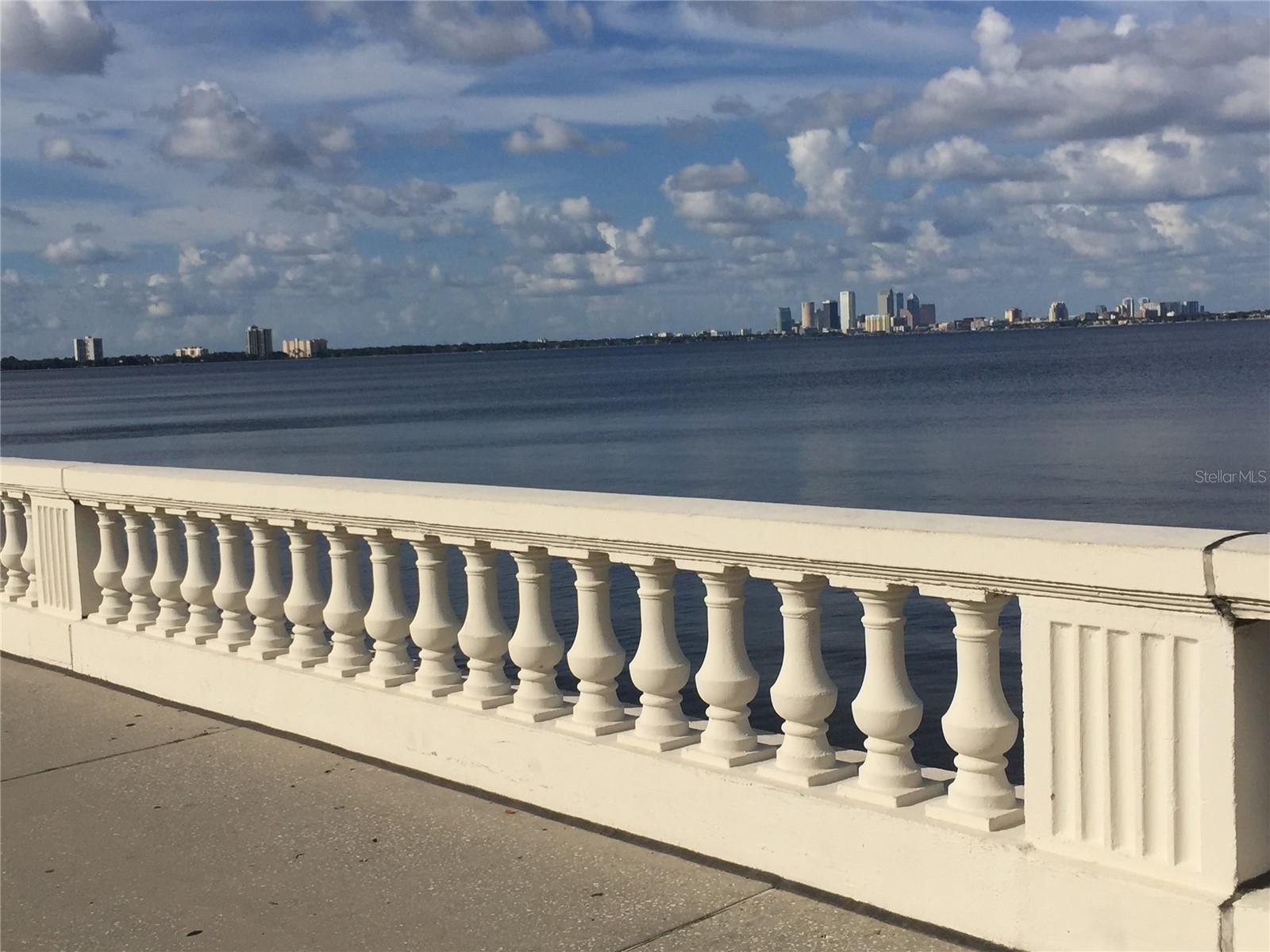 5300 BAYSHORE BLVD #A5, TAMPA, FL — photo 20