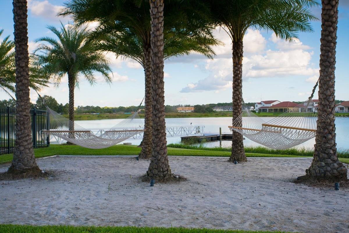 8801 FOUNTAIN PALM ALY, WINTER GARDEN, FL — photo 65