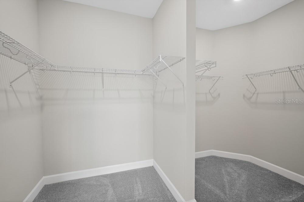 3946 IMMACOLATA WAY, WESLEY CHAPEL, FL — photo 14
