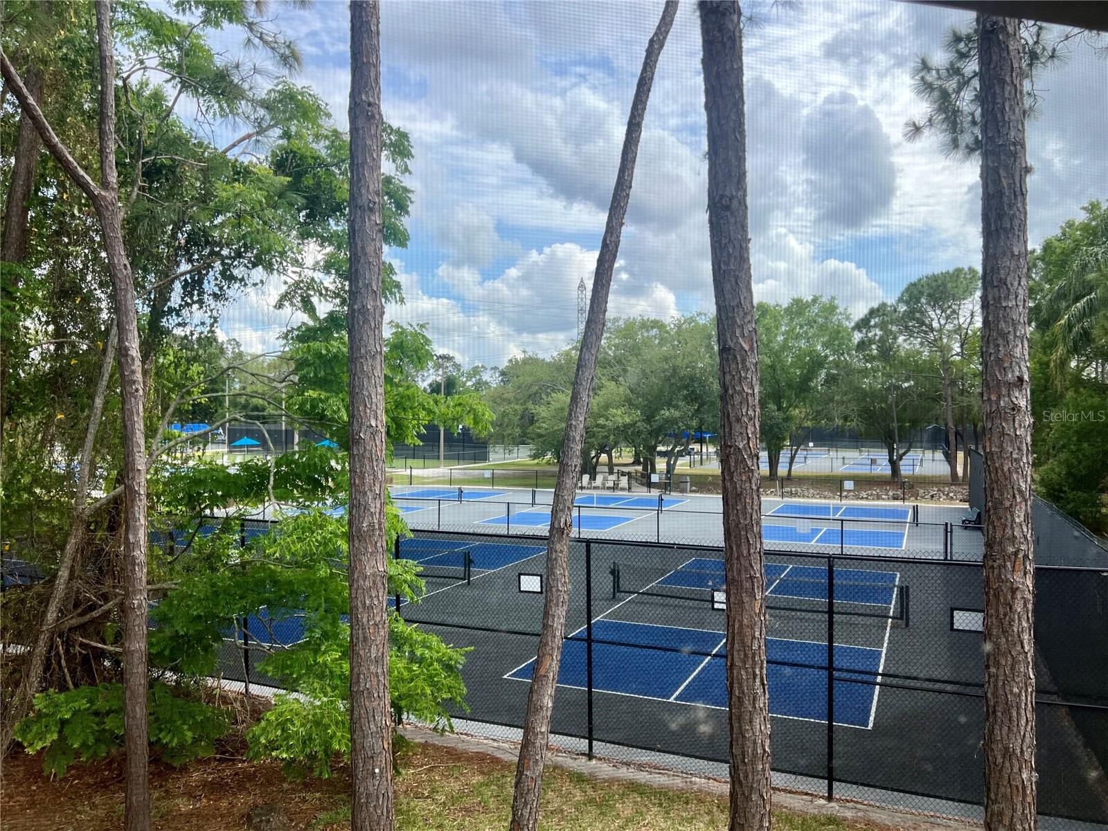 142 WOODLAKE WYNDE #48, OLDSMAR, FL — photo 9