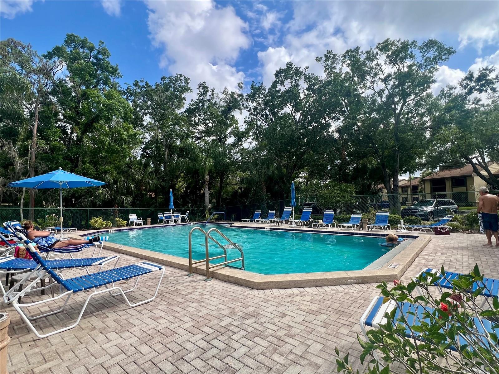142 WOODLAKE WYNDE #48, OLDSMAR, FL — photo 19